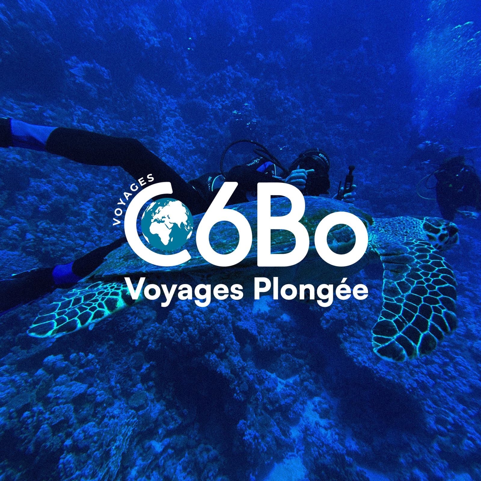 Logo C6Bo Voyages Plongée sur une photographie sous-marine de tortue